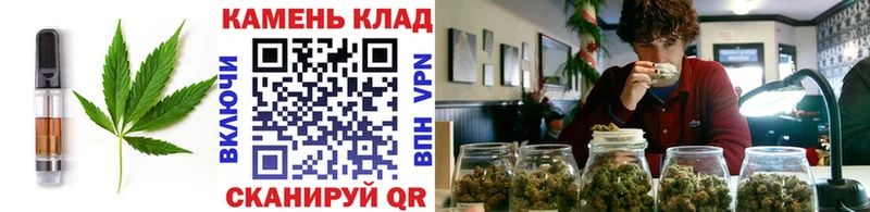 darknet состав Владикавказ Canna-Cookies конопля