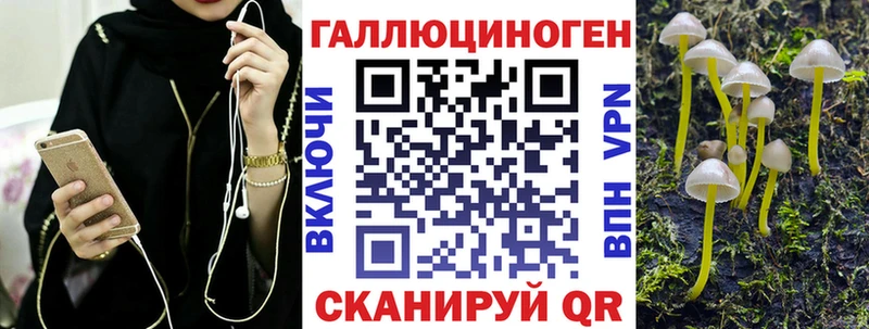 mega зеркало  Владикавказ  Псилоцибиновые грибы Psilocybine cubensis  продажа наркотиков 